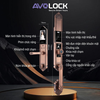 Khóa Điện Tử AVOLOCK AC-8812R-G