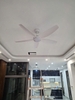 Quạt Trần FENGYE-MILAN FY528 Màu Trắng