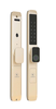 Khóa Điện Tử KASSLER KL-599TN CHAMPAGNE GOLD APP