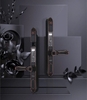 Khóa Điện Tử AVOLOCK AN 391 BLACK