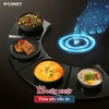 Bếp Điện Từ Canzy CZ-BMIX309HN