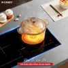 Bếp Điện Từ Canzy CZ-BMIX309HN