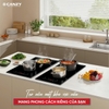 Bếp Điện Từ Canzy CZ-EU66HOB