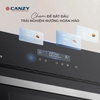 Lò nướng Canzy CZ-L10060