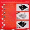 Chậu rửa Carysil SAA1-03