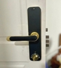 Khóa Điện Tử KASSLER KL-668 GOLD APP
