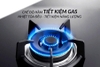 Bếp gas Eurosun EU-GA281