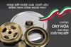 Bếp gas Eurosun EU-GA378