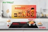 Bếp Từ Eurosun EU-T396XPRO