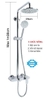 Sen Tắm B-GEM BG-S5008K