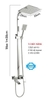 Sen Tắm B-GEM BG-S5009K