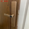Khóa Điện Tử BOSCH ID 30 EU GOLD
