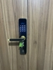 Khóa Điện Tử KASSLER KL-696 GOLD APP