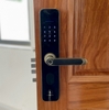 Khóa Điện Tử KASSLER KL-696 GREEN BRONZE APP