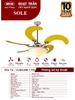 QUẠT TRẦN CHO NGƯỜI GIÀU MR.VŨ SOLE YL