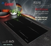 Bếp Từ Canzy CZ-9979GRS