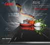 Bếp Từ Canzy CZ-9979GRS