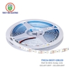 Led Dây 24V Trong Nhà TNE24-2835T-120LED