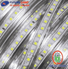 led-day-ngoai-troi-boc-nhua-kosoom-2835-sieu-sang