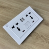 Ổ cắm có công tắc tích hợp cùng sạc USB LG-F21-066