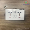 Ổ Điện Đôi Có Công Tắc Kết Hợp Cổng USB TNE-F21-066