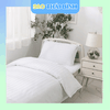 Bộ chăn Cotton T300 TRẮNG cho phòng bệnh viện - Giá Tốt Nhất