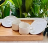 Bộ tách đĩa sứ trắng uống trà, cà phê sang trọng