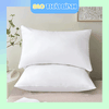 Bộ chăn ga gối đệm cotton TRẮNG T200 cho khách sạn - Giá Tốt Nhất