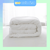 Ruột chăn cao cấp DÀY/MỎNG cho phòng bệnh viện - Giá Tốt Nhất
