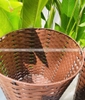 Sọt rác nhựa giả mây dùng cho văn phòng, gia đình, khách sạn