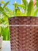 Sọt rác nhựa giả mây dùng cho văn phòng, gia đình, khách sạn