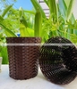 Sọt rác nhựa giả mây dùng cho văn phòng, gia đình, khách sạn