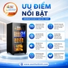 Tủ mát SAST 100L cửa kính chính hãng