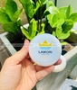Xi đánh giày/Kem đánh bóng giày - Dùng cho khách sạn cao cấp