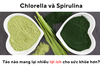 Chlorella và Spirulina: Tảo nào mang lại nhiều lợi ích cho sức khỏe hơn?