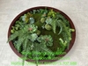 decor-khung-tranh-bang-reu-sen-da-tai-nha-hang-ca-phe-long-bien-ha-noi