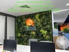 vach-cay-nhan-tao-dep-cho-khong-gian-van-phong-fc-viet-nam