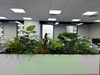 decor-he-thong-cay-xanh-nhan-tao-tai-tap-doan-fc-viet-nam
