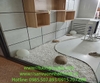 trang-tri-buc-cay-van-phong-tai-toa-nha-etown-5-364-duong-cong-hoa-tp-ho-chi-min