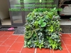 thi-cong-vach-cay-gia-cho-nha-hang-tai-pho-noi-hung-yen