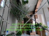 decor-cay-oliu-co-thu-khu-vuc-thong-tang-tai-du-an-fulton-regal-vinhomes-ocean-p
