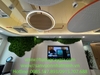 decor-tuong-reu-bao-ton-nghe-thuat-tai-cong-ty-visa-34-trang-tien-ha-noi
