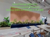 thi-cong-lap-dat-vach-tuong-cay-nhan-tao-tai-42-lieu-giai-ngoc-ha-ha-noi