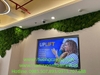 decor-tuong-reu-bao-ton-nghe-thuat-tai-cong-ty-visa-34-trang-tien-ha-noi