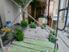 decor-cay-oliu-co-thu-khu-vuc-thong-tang-tai-du-an-fulton-regal-vinhomes-ocean-p
