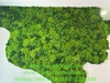 decor-tuong-reu-bao-ton-nghe-thuat-tai-cong-ty-visa-34-trang-tien-ha-noi