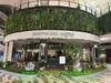 thi-cong-cay-thach-nam-co-thu-tai-trung-tam-thuong-mai-aeon-mall-ha-dong-hn