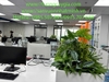 decor-he-thong-cay-xanh-nhan-tao-tai-tap-doan-fc-viet-nam