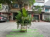 tuong-cay-gia-xu-huong-thiet-ke-moi-2026
