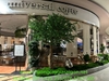 thi-cong-cay-thach-nam-co-thu-tai-trung-tam-thuong-mai-aeon-mall-ha-dong-hn